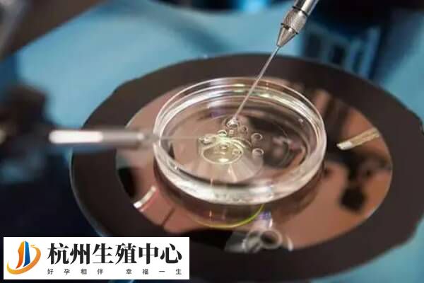 杭州医院三代试管单周期费用是多少？