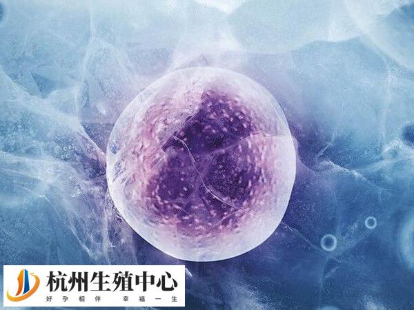 冻卵技术要求高收费贵