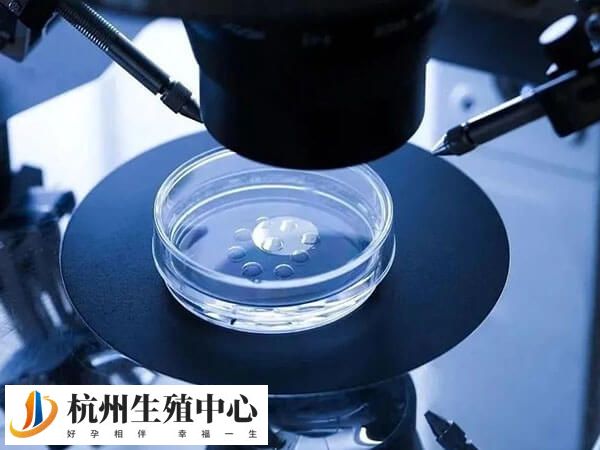 子宫环境差不能移植多个胚胎