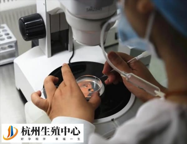 年龄大会影响试管移植成功率