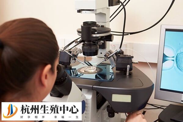 鲜胚等级高移植成功率高