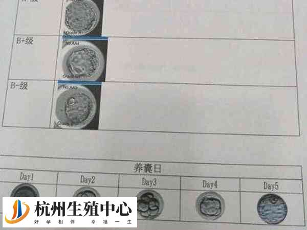 囊胚等级有差异