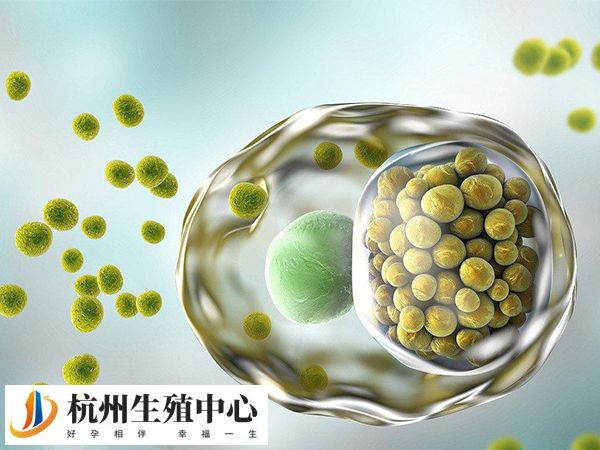 促排费用在1万至3万