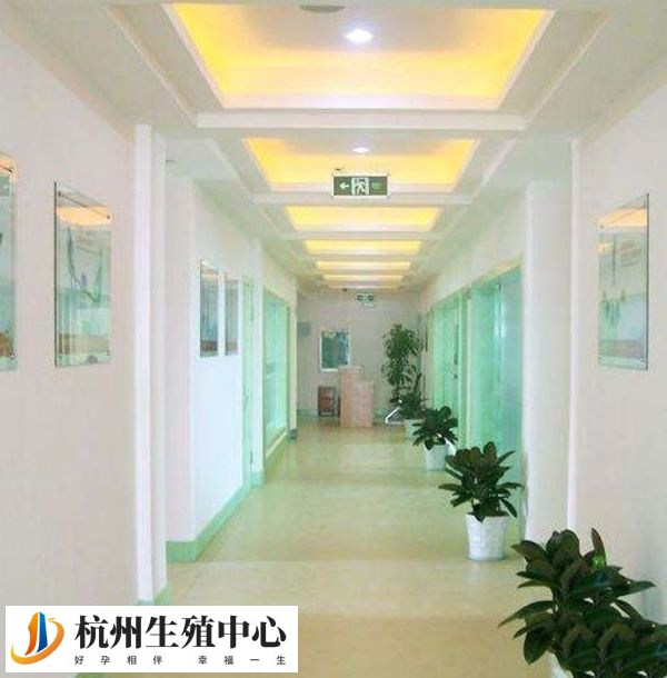 杭州滨江医院走廊