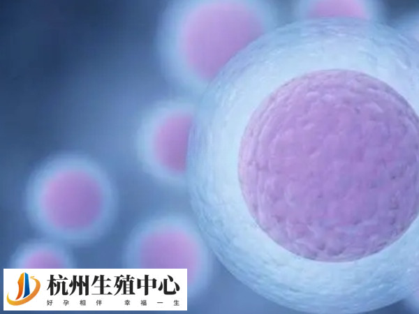 培养胚胎要8000元