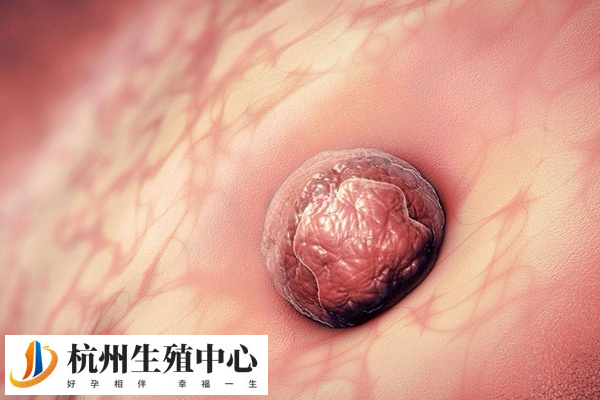 排卵后的3-5天可进行移植