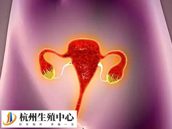 人工授精后屁多属于生理正常现象
