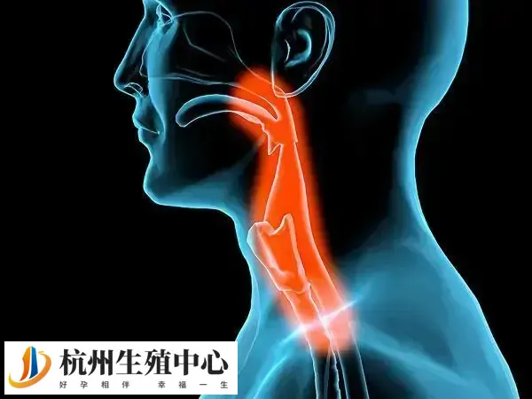 慢性胰腺炎很难治