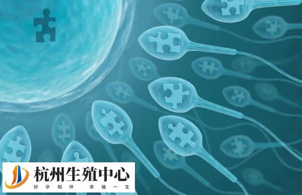 取精数量少可能是生殖系统异常所致