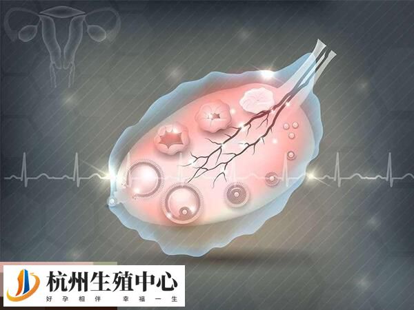 取卵的第四天用劲会怎样戳这，小腹疼不疼一看便知