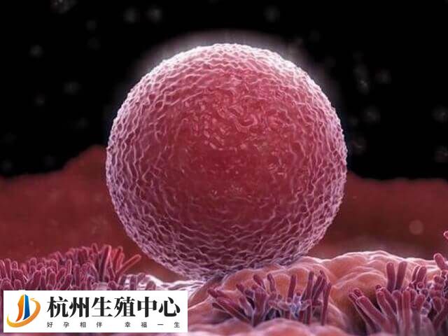 人工试管移植月经第几天