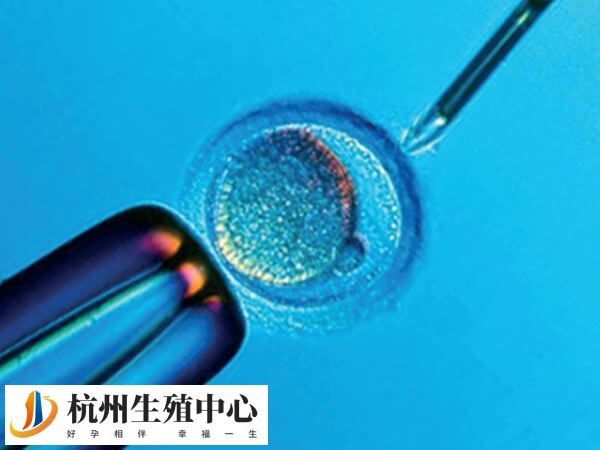 囊胚移植前雌二醇不足每天吃黑豆和500g