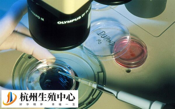 冷冻受精卵可不可以转医院